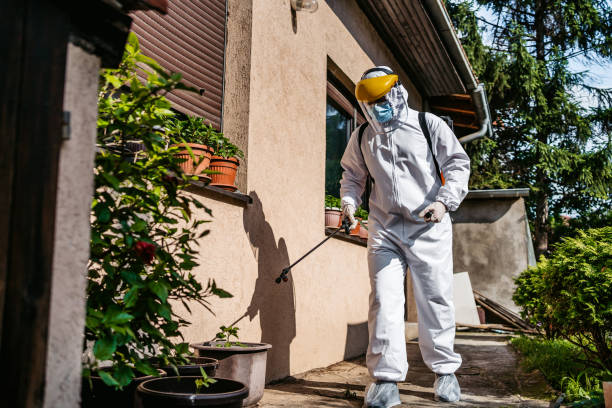 Best Pest Inspection Near Me  in Lower Grand Lagoon, FL