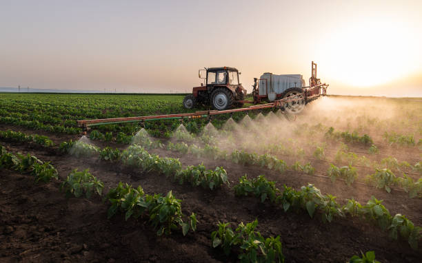 Best Mosquito Control Services  in Lower Grand Lagoon, FL