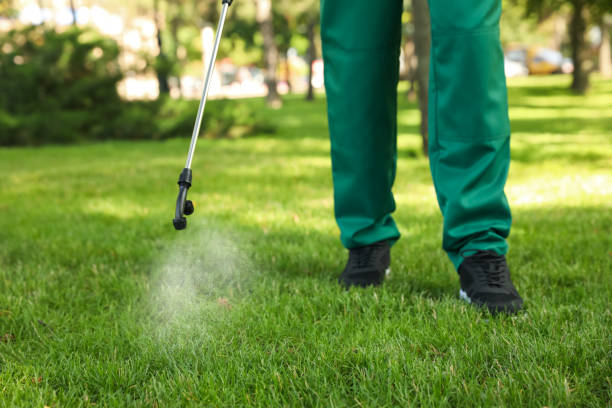 Best Exterminator Services  in Lower Grand Lagoon, FL