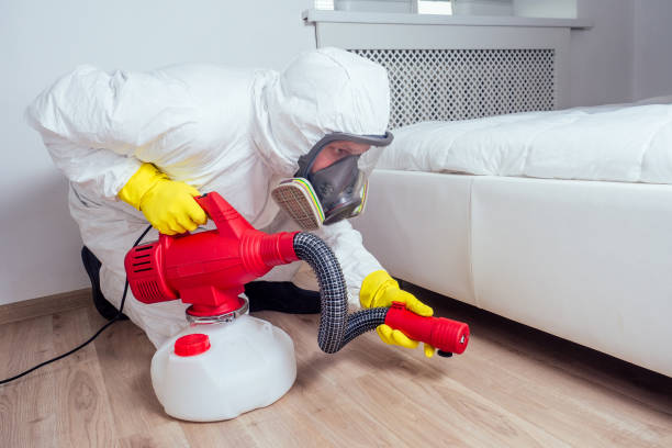 Best Pest Prevention Services  in Lower Grand Lagoon, FL