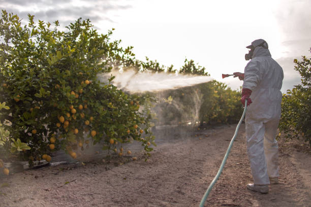 Best Best Pest Control Companies  in Lower Grand Lagoon, FL