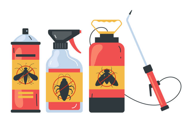 Best Termite Control Services  in Lower Grand Lagoon, FL