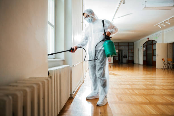 Best Pest Removal Services  in Lower Grand Lagoon, FL